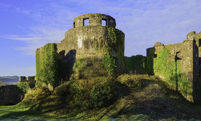 Dinefwr Castle